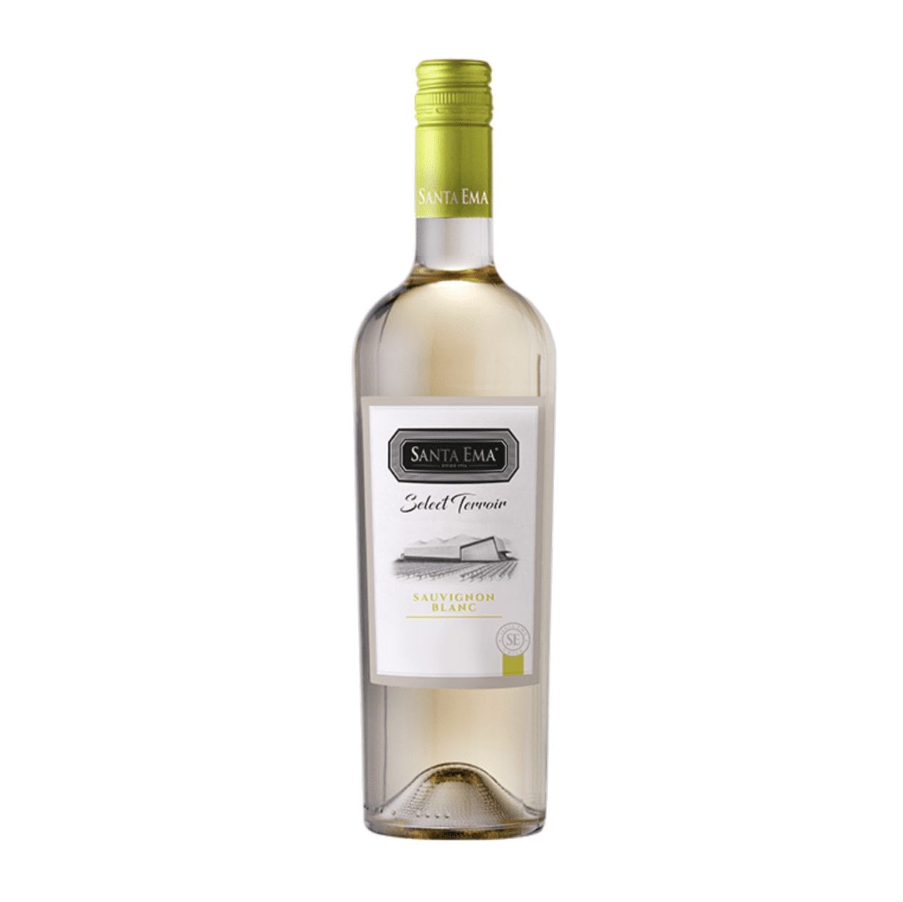 Santa Ema Select Terroir Sauvignon Blanc - 1.5L | Colonial Spirits