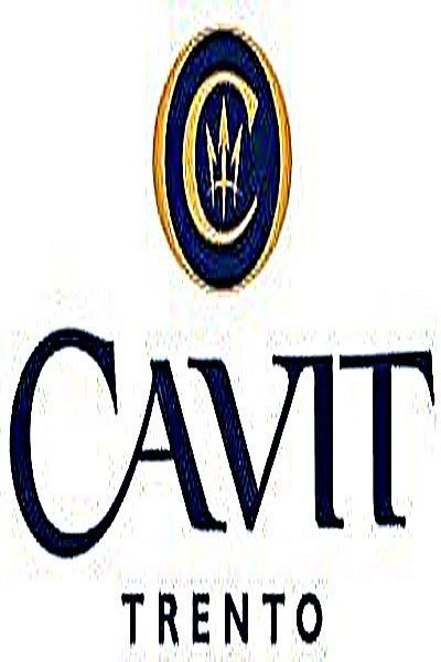Cavit Pinot Grigio - 750ml